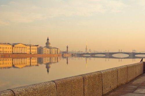 Утренняя ворона