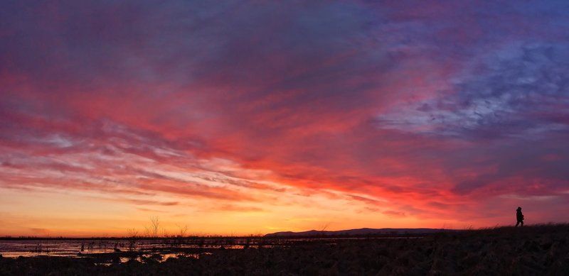 унося в новый день груз вчерашних заботphoto preview