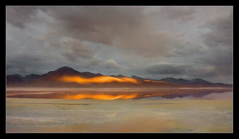 боливия, альтиплано, лагуна, колорадо, фламинго, соль Фламинго....утро нового дня....photo preview