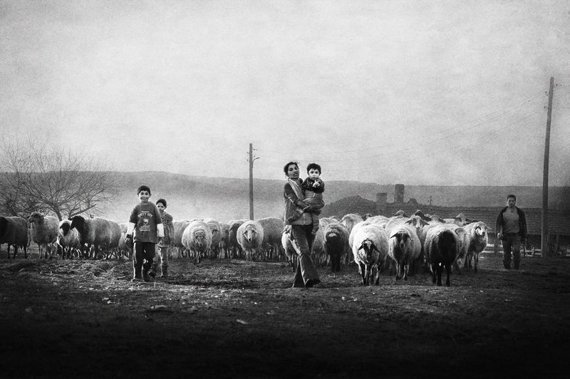 Семьяphoto preview