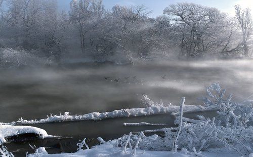 Бегущие по воде****