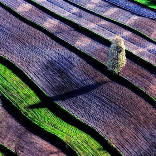 Landscapes ***