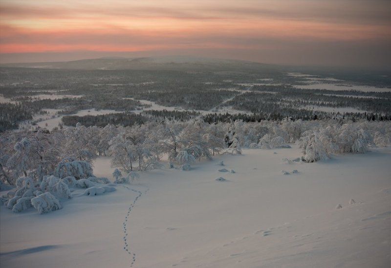 кольский, полуостров, зима *****photo preview