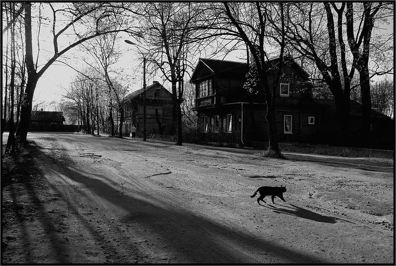 Кому-то не повезет...photo preview