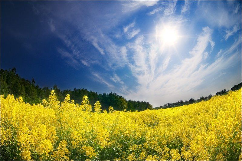 Новый деньphoto preview