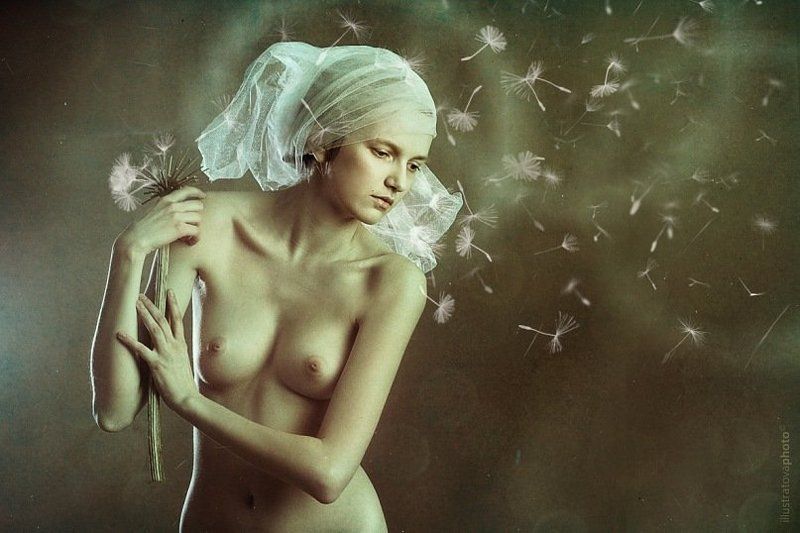 Одуванчик.photo preview