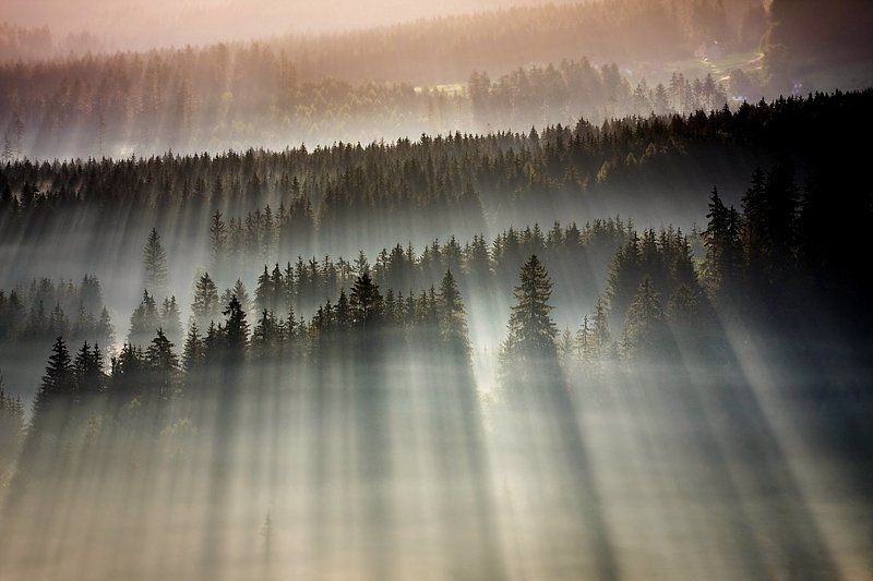 Boguslaw Strempel