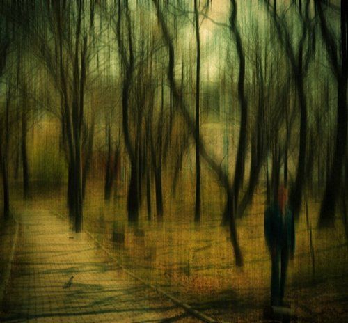 Trees as wood