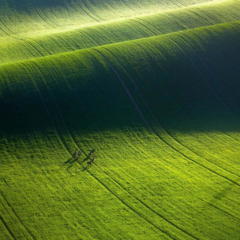 Boguslaw Strempel