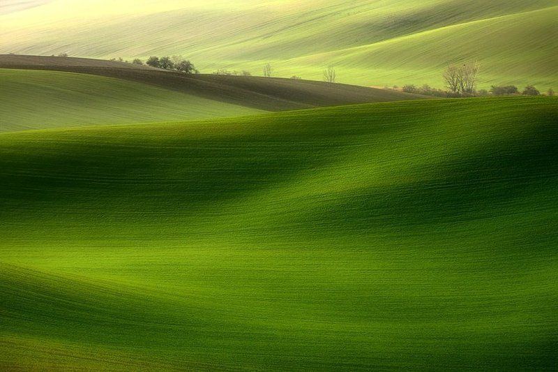 Boguslaw Strempel