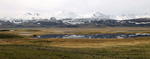 Спокойное утро