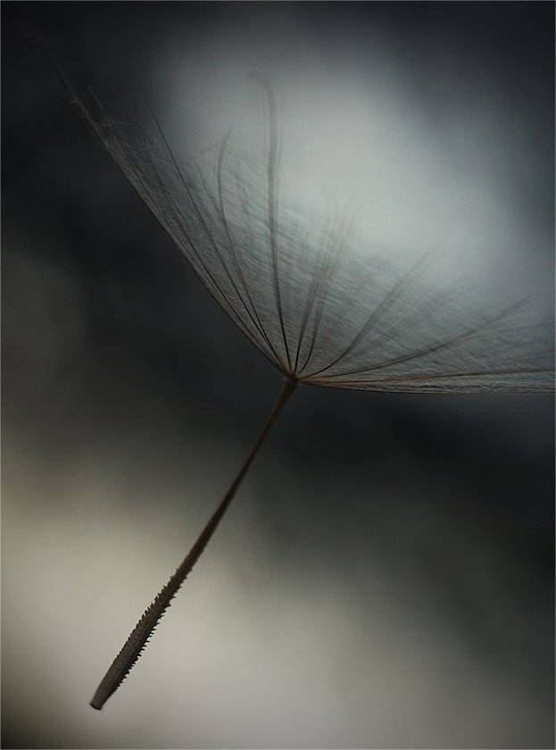 , Наталья Ова