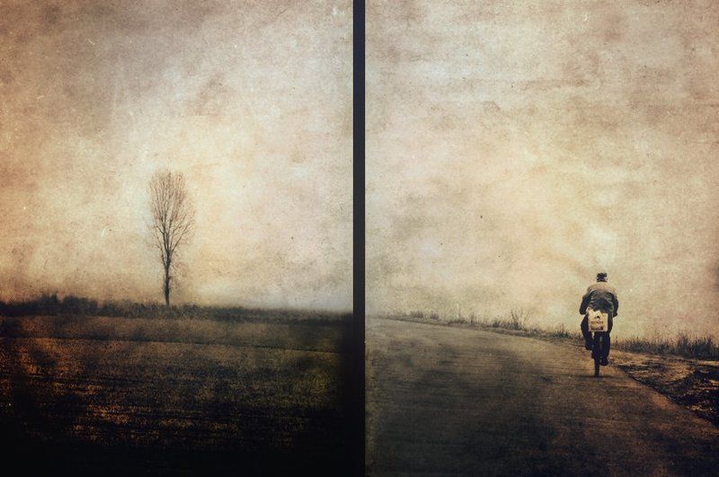 The end of roadphoto preview