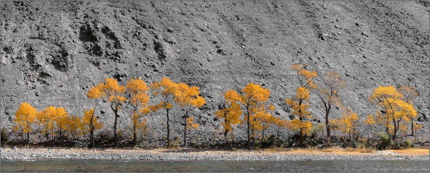 монголия, ховд, Бур