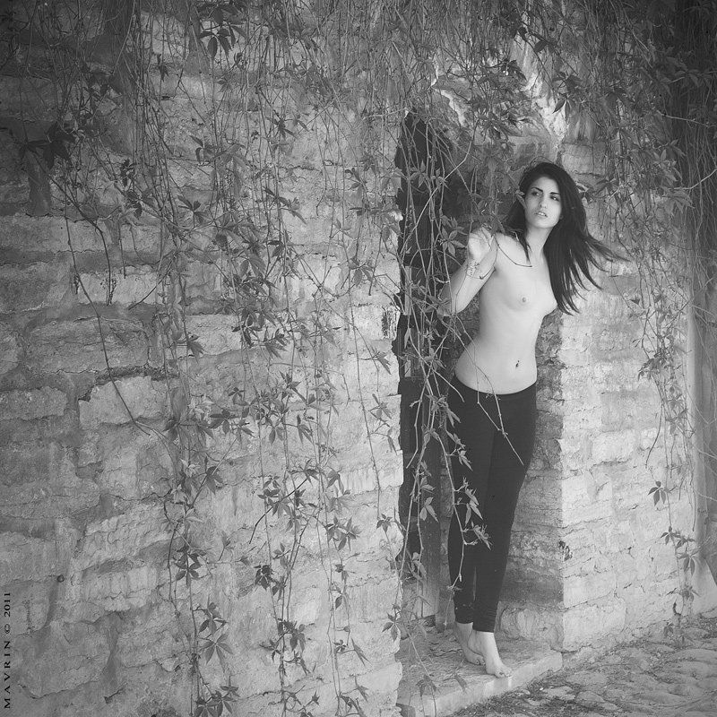 The Doorsphoto preview