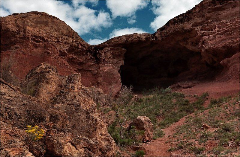 скалы, степь, лошади, казахстан, темирлик Темирлик, июнь 2011photo preview