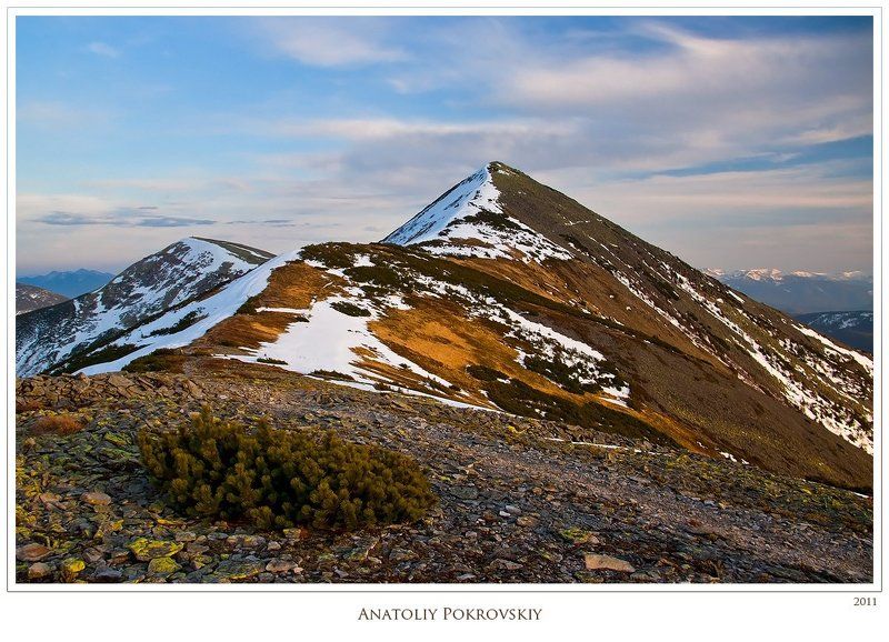 анатолий покровский, снег, большая сывуля, весна, горы, карпаты Весенние сказки Большой Сывули о скоротечности горного летаphoto preview