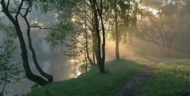 ...утренние нюансы...photo preview