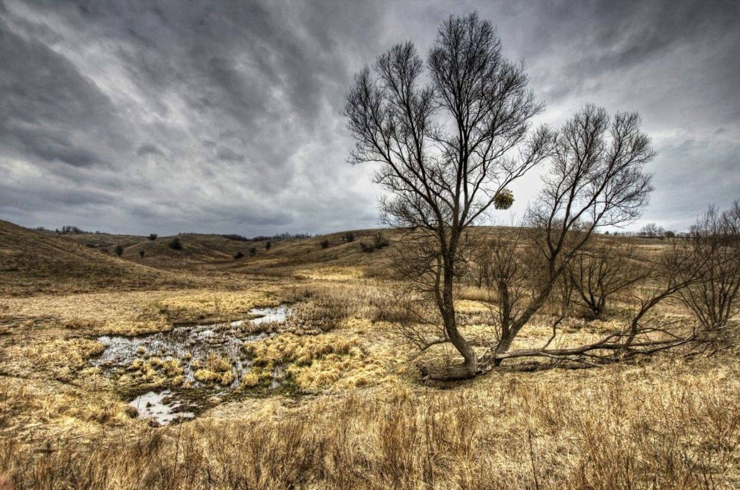 Автор: Vikst пейзаж, панорама, природа, canon400d, Vikst