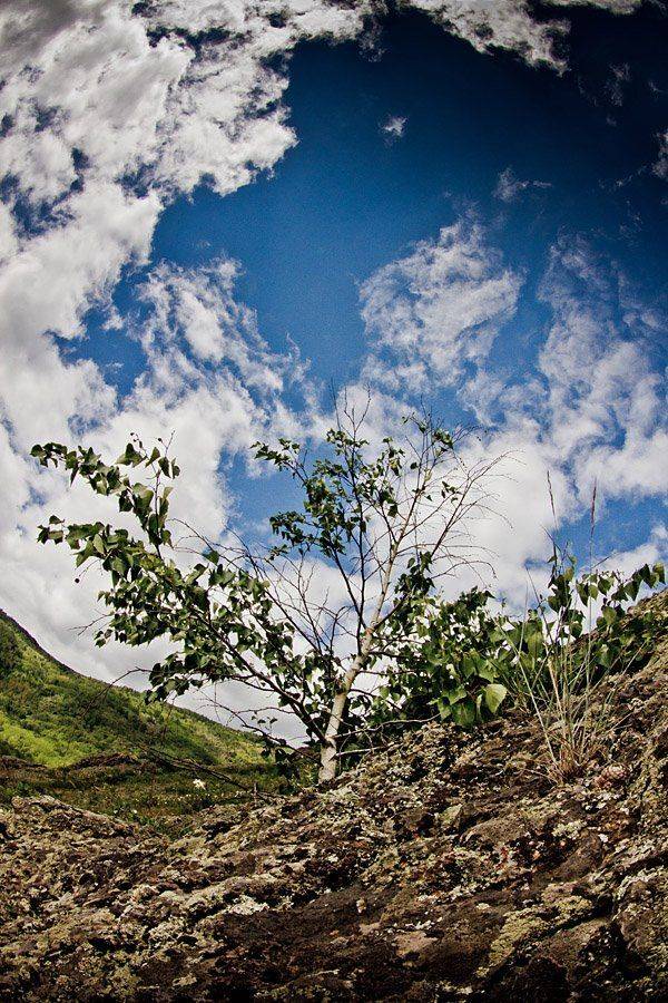 Автор: 13Cat , 13Cat