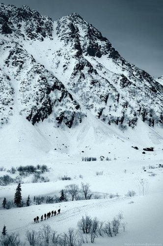 Cold solitude