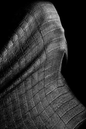 veil