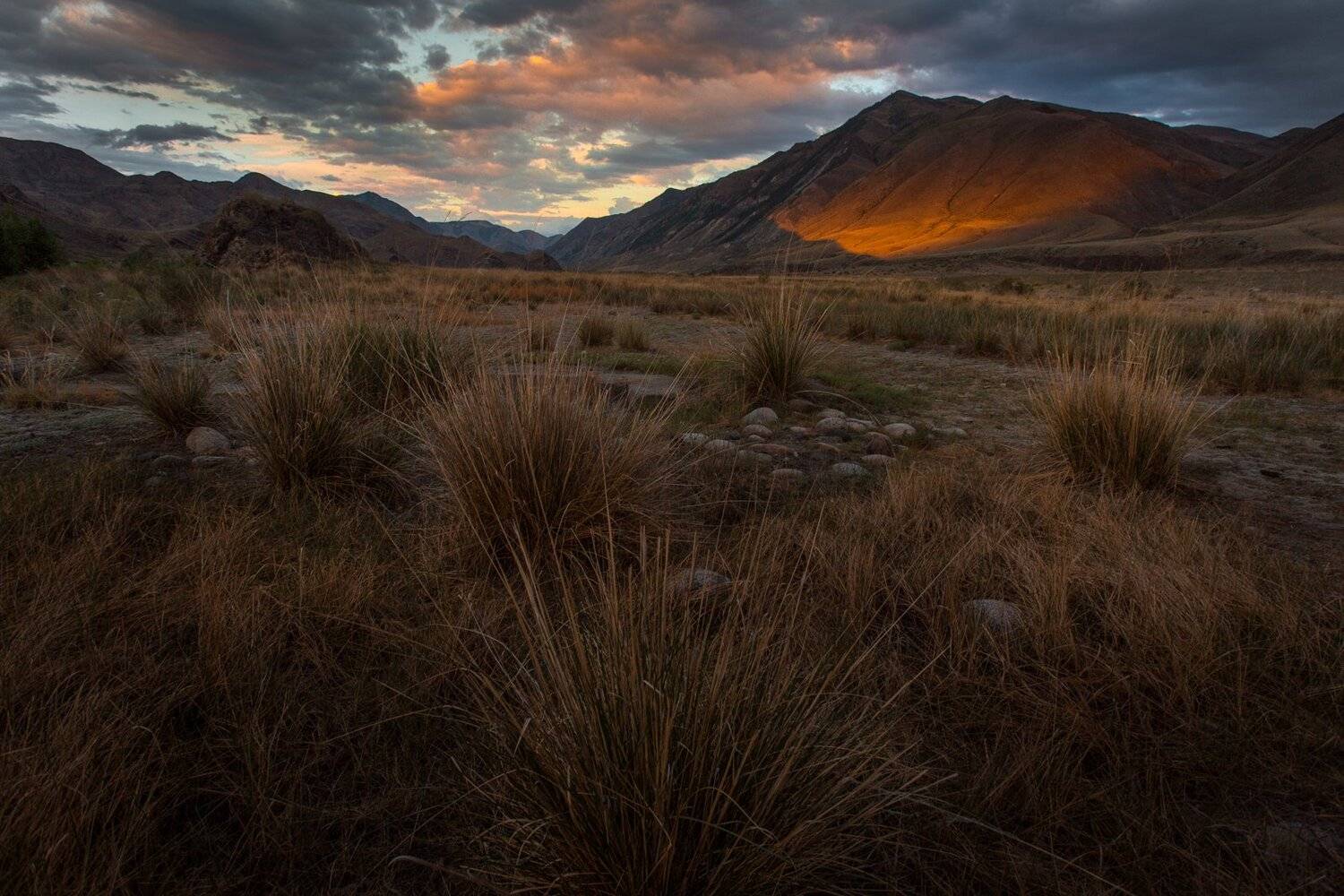 В долине Алаш. Автор: Александр Нерозя путешествия, тува, туризм, исследование, пейзаж, горы, река, хайкинг, ночь, сибирь, вечер, алаш, тыва, Александр Нерозя