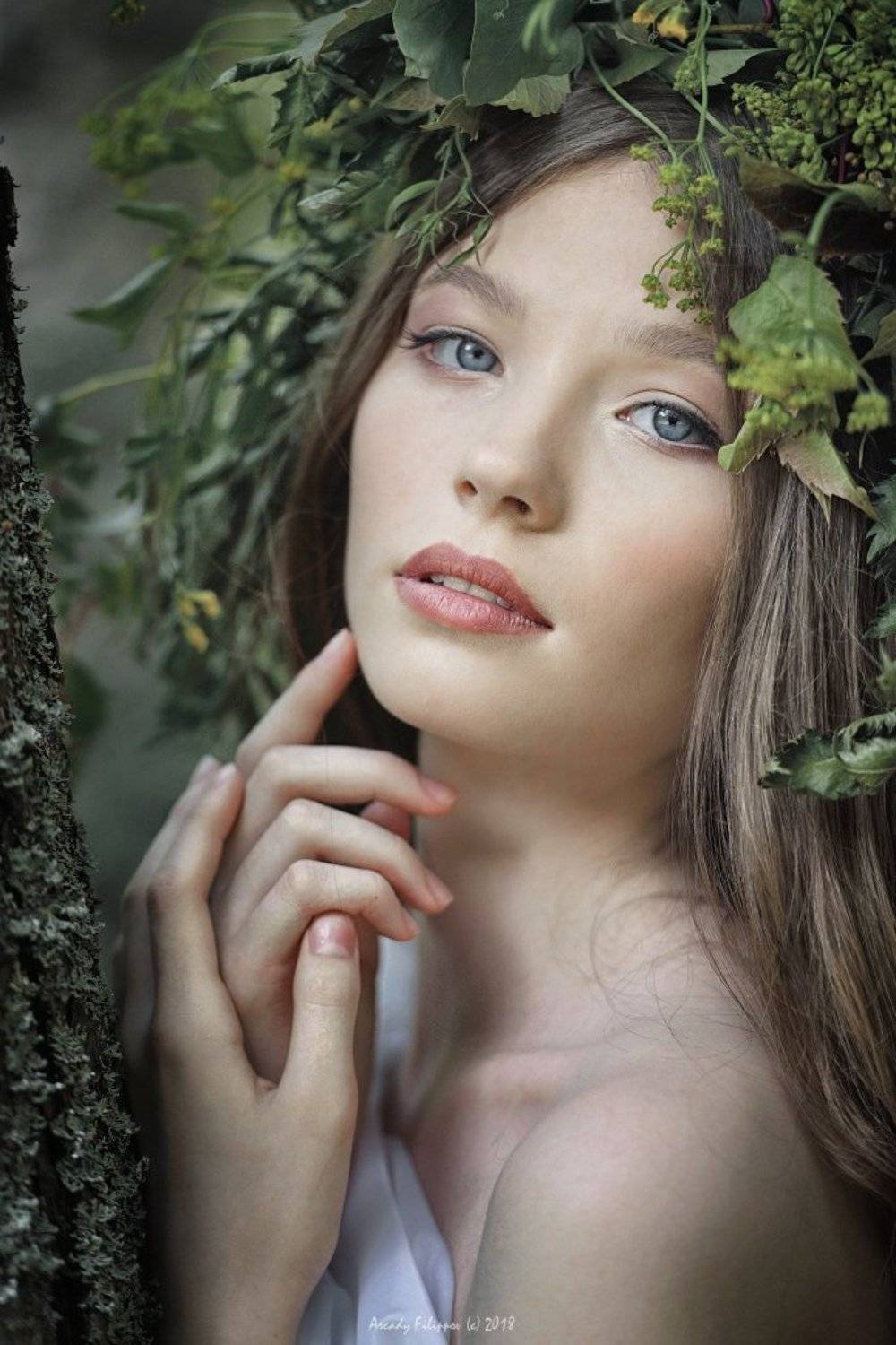 , Аркадий Филиппов