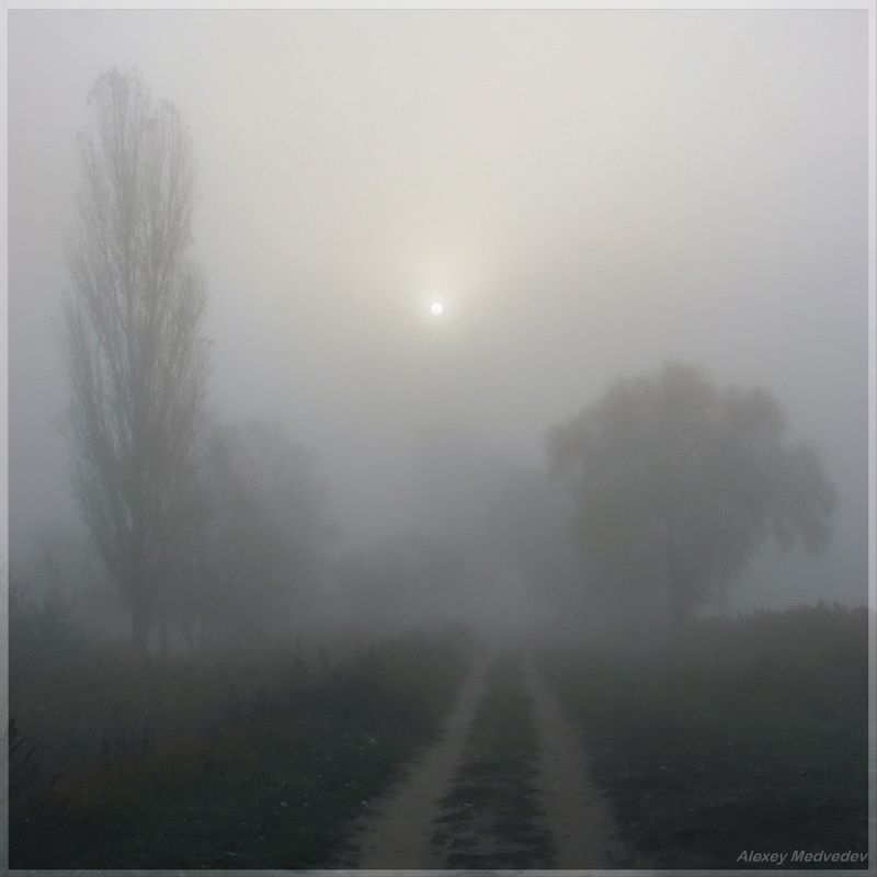 васильков, стугна, дорога, тман, солнце, рассвет Глянувphoto preview