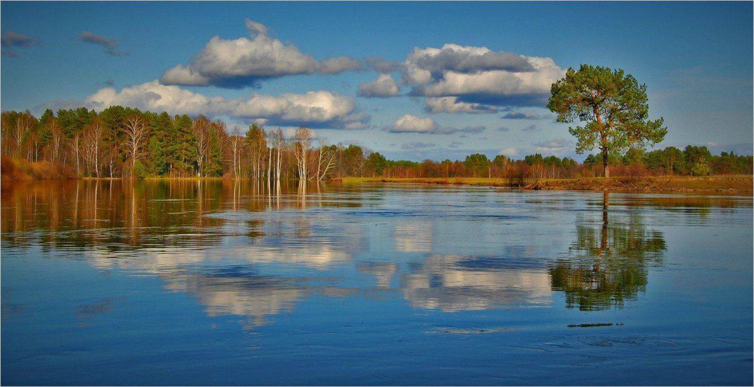 , Сергей Никсон