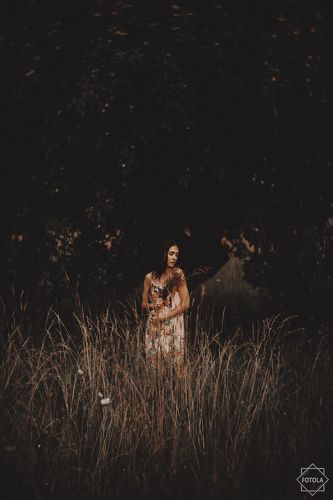 Evelina