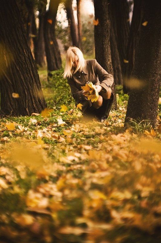 листопад, ноябрь, осень, юпитер 9 photo preview