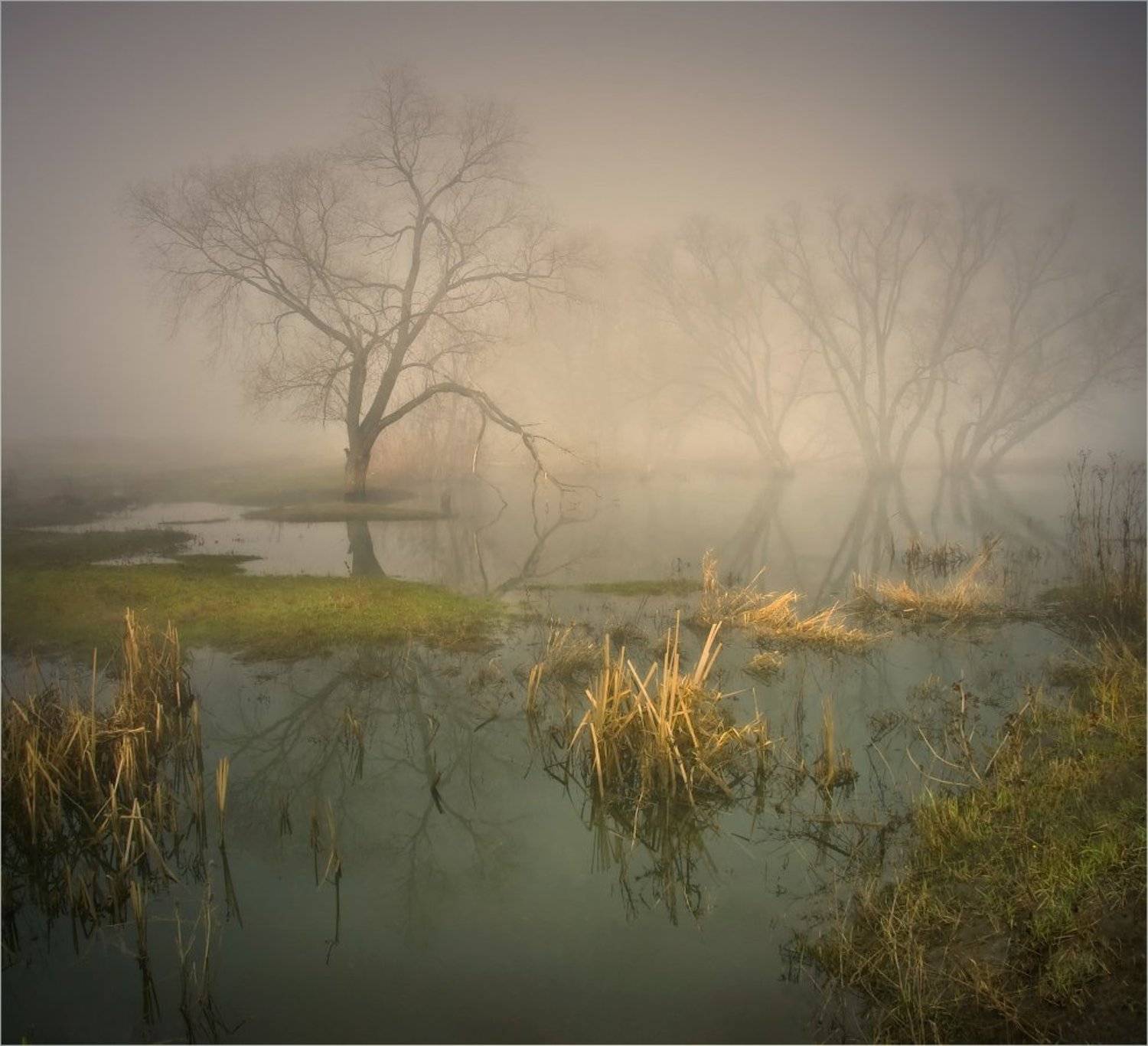 утро, туман, Александр Киценко