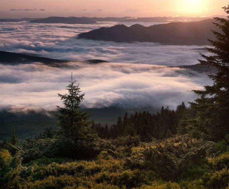 туман, небо, утро, панорама, пейзаж, природа, карпаты photo preview