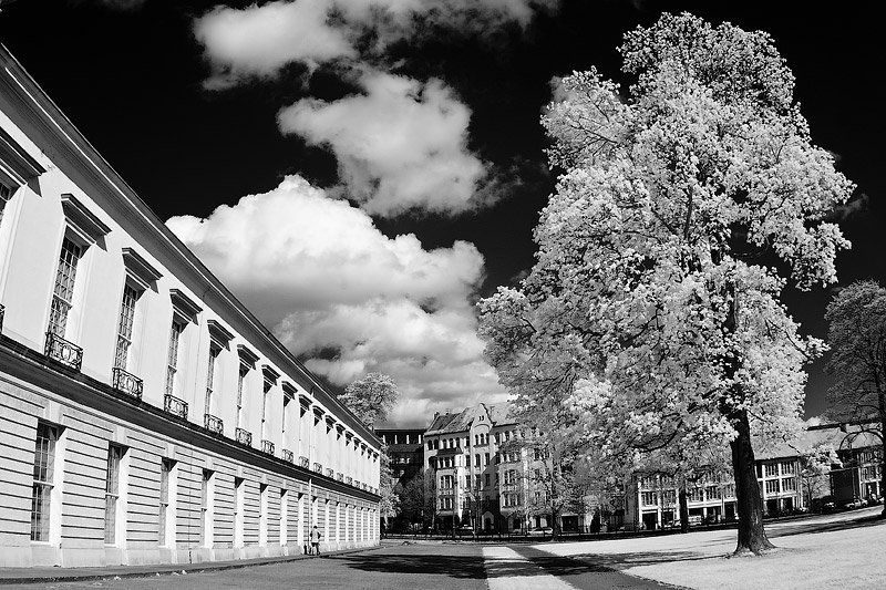 замок, парк, берлен, германия, ик, ir photo preview