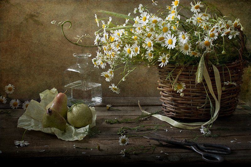 лента, ножницы, свет, лето, груши, ромашки, натюрморт С  завитушкойphoto preview