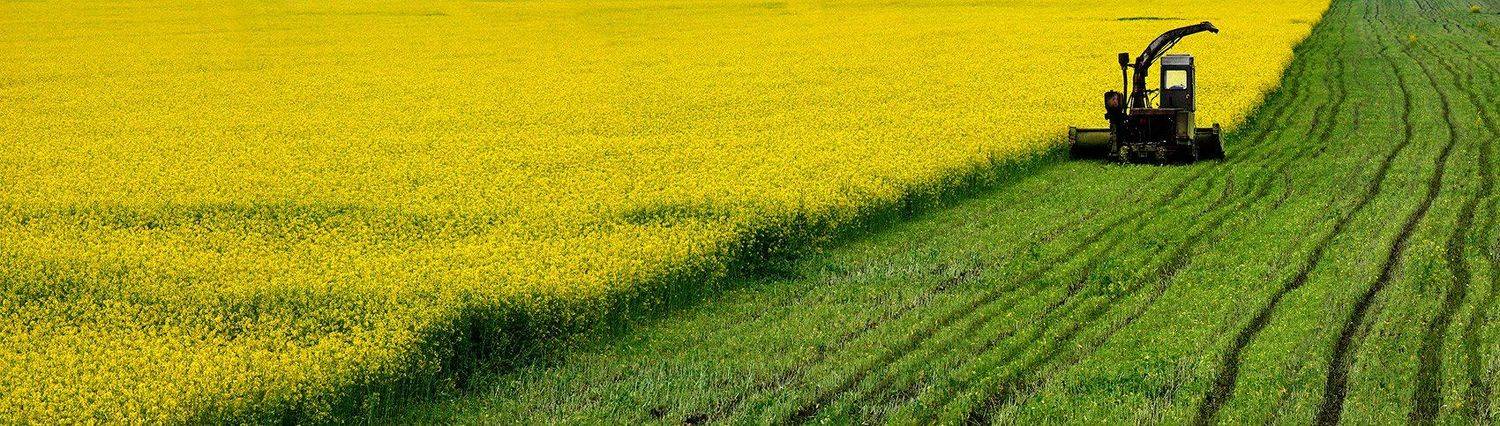 Автор: Zaur Vorokov , Zaur Vorokov