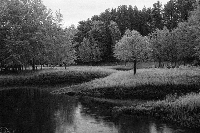 , ilford sfx photo preview