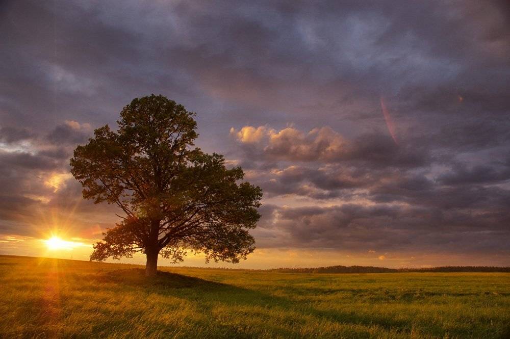 Автор: andrey , andrey