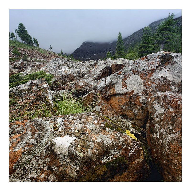 западный саян, борус,  photo preview