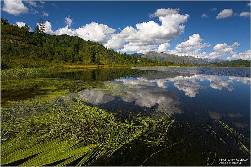 природа, казахстан, алтай, altay, kazakhstan, safari, photo Алтайское фотосафари (I)photo preview