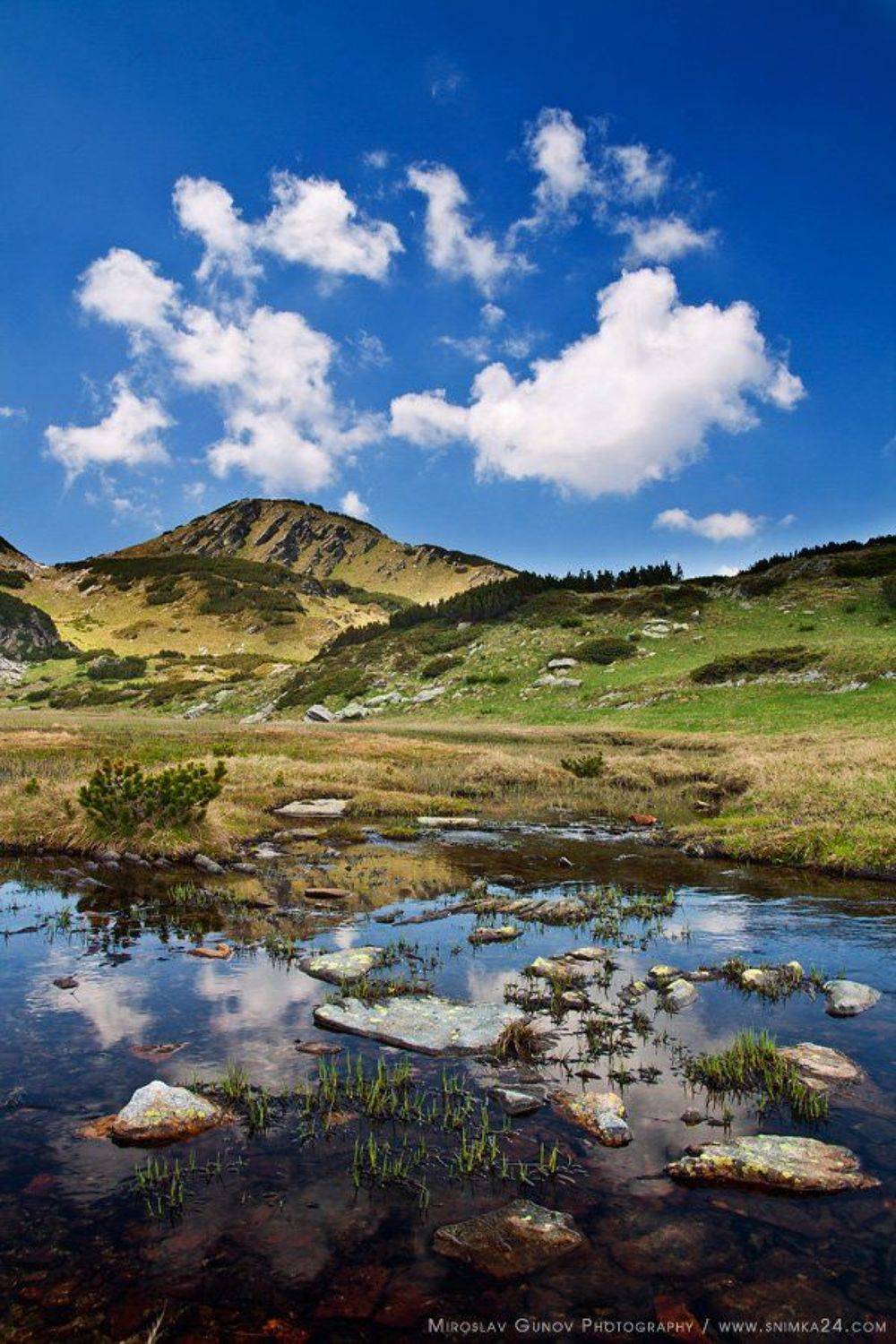 Автор: Miroslav Gunov , Miroslav Gunov