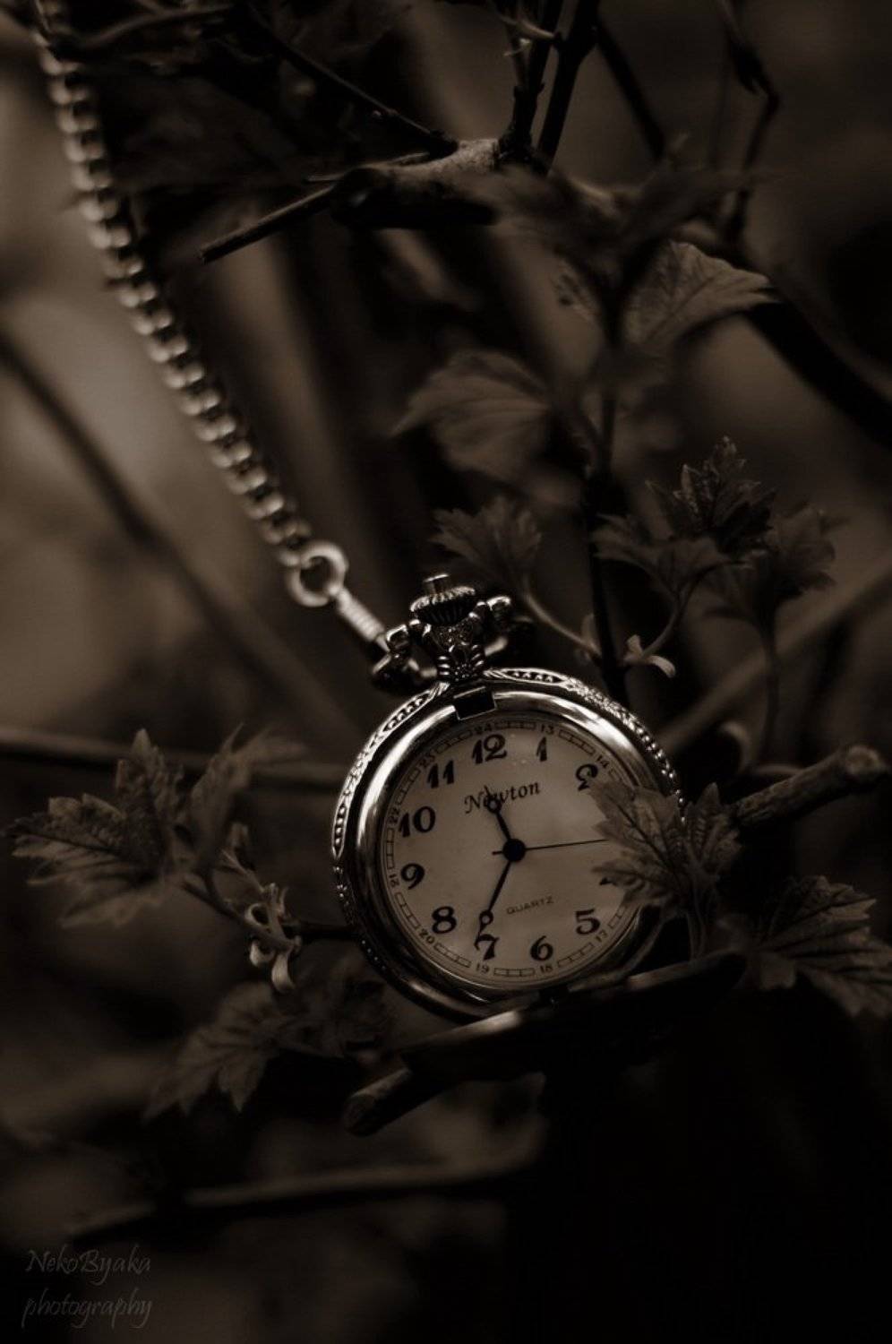watch, pocket, watches, old, старинные, карманные, часы, растения, plants, Мамакова Анжелика