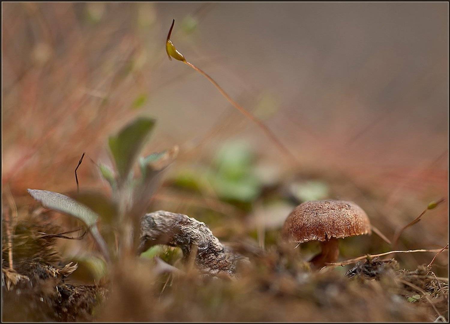 , Евгений Кирилкин.