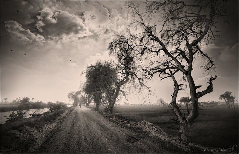 Дороги чужой страныphoto preview