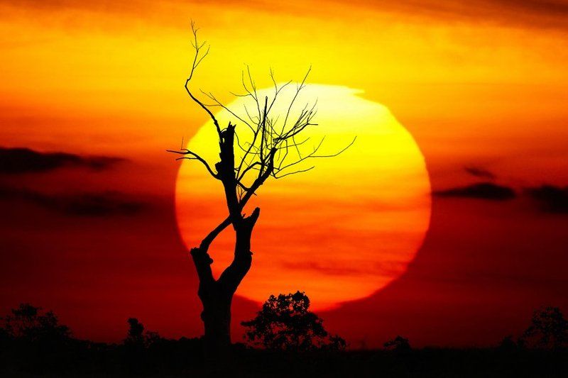 lanscapes, children, people photo preview