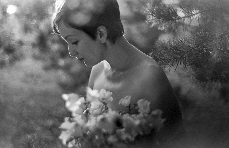 лето photo preview