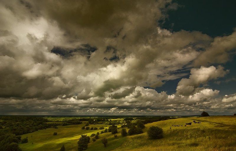 дали photo preview