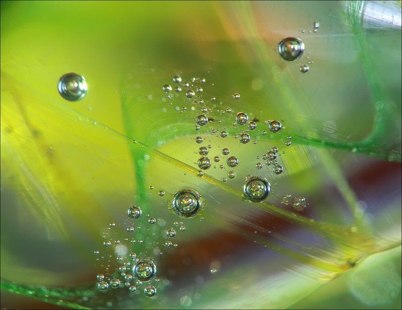 макро photo preview