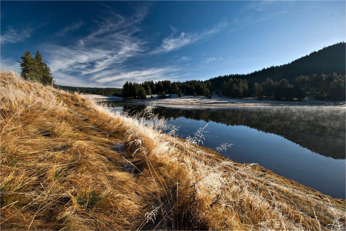 Автор: svetoslav stojkov , svetoslav stojkov